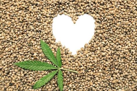 What’s So Special About Hemp Hearts’ Nutrition Profile?