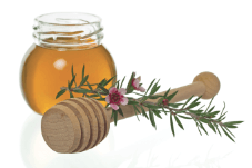 Manuka Honey Herbal Supplements & Products Online