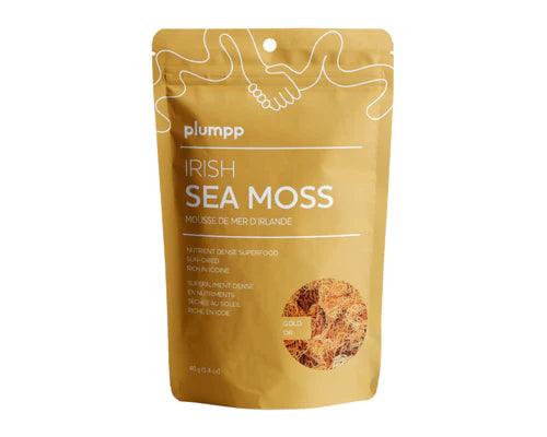 plumpp Irish Sea Moss Gold 40g