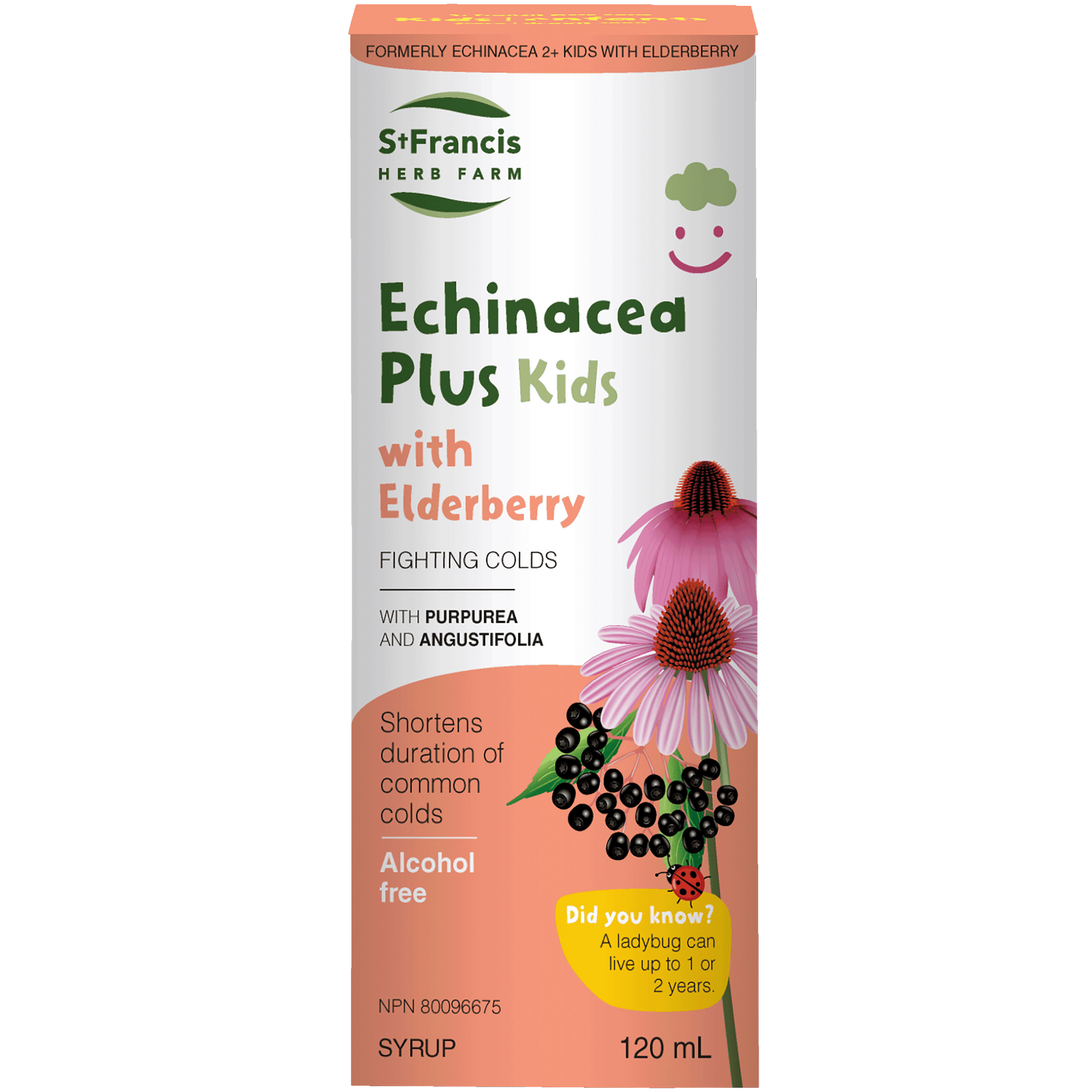 St. Francis Herb Farm Echinacea Plus Kids with Elderberry 120ml