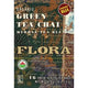 Flora Green Chai Tea 16 Bags