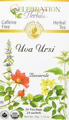 Celebration Herbals Organic Uva Ursi Tea 24 bags