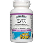 Natural Factors GABA 100 mg 90vc